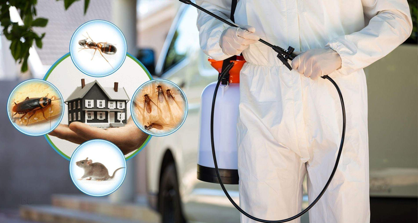 pest control Forest Hill