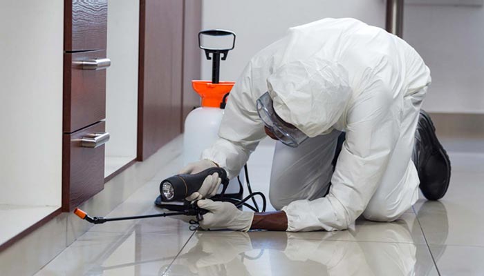 Croydon pest control
